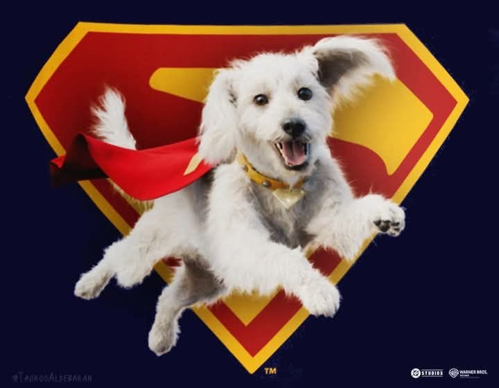 563e3a18b79fc4ac0a215d4336e63df8